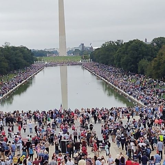 Meet your Posher, David - Picture 1 of 1